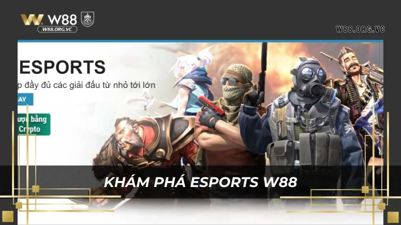 W88 mang đến môi trường cá cược ảo an toàn nhất