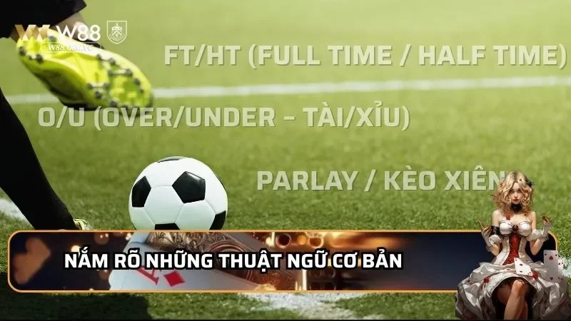 Nắm rõ những thuật ngữ cơ bản