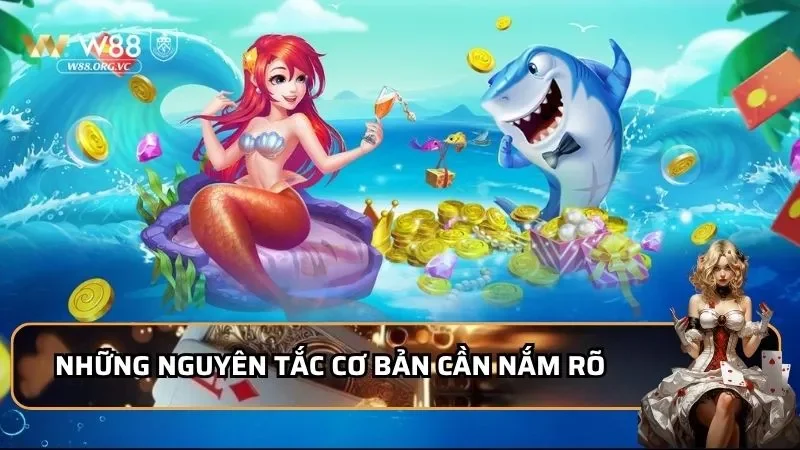 Những nguyên tắc cơ bản cần nắm rõ