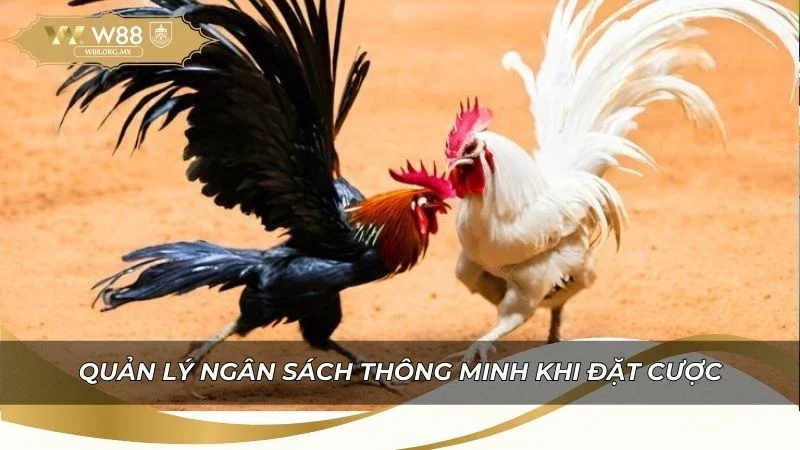 Kinh nghiệm quản lý ngân sách thông minh khi đặt cược