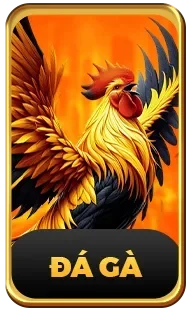 Trực tiếp đá gà cho các gà thủ
