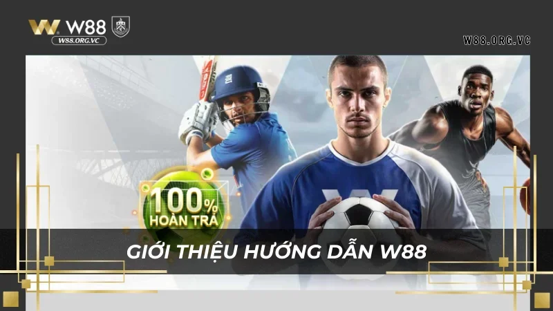 Sơ lược về ý nghĩa của hướng dẫn tại W88